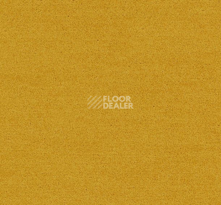 Ковровая плитка Interface Polichrome Solid 4266018 Mimosa фото 1 | FLOORDEALER